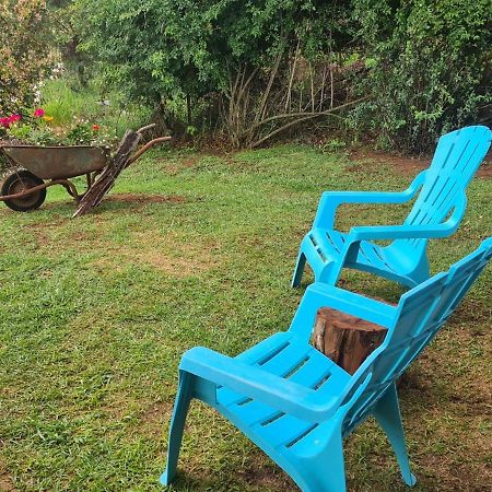Hilltop Farm Valley View Cottage Henburg Park 外观 照片