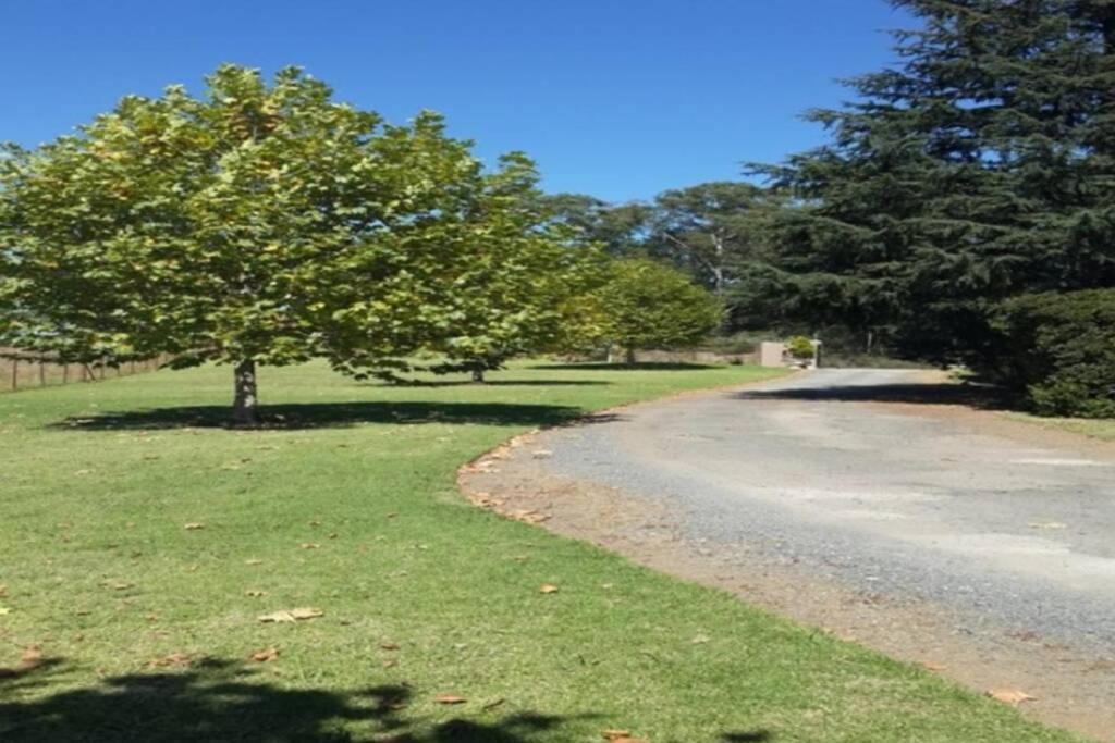 Hilltop Farm Valley View Cottage Henburg Park 外观 照片