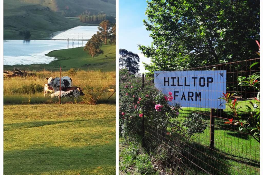 Hilltop Farm Valley View Cottage Henburg Park 外观 照片